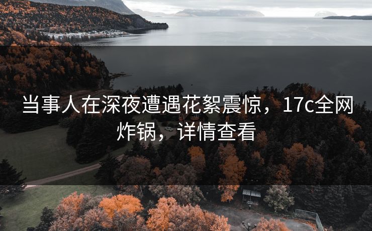 当事人在深夜遭遇花絮震惊，17c全网炸锅，详情查看