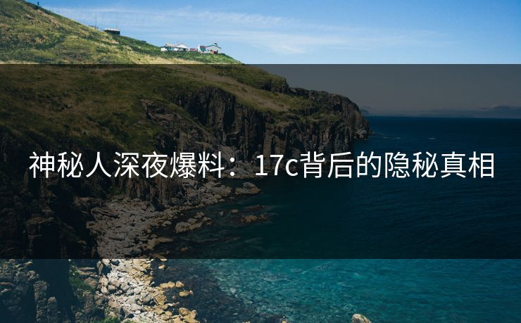 神秘人深夜爆料：17c背后的隐秘真相