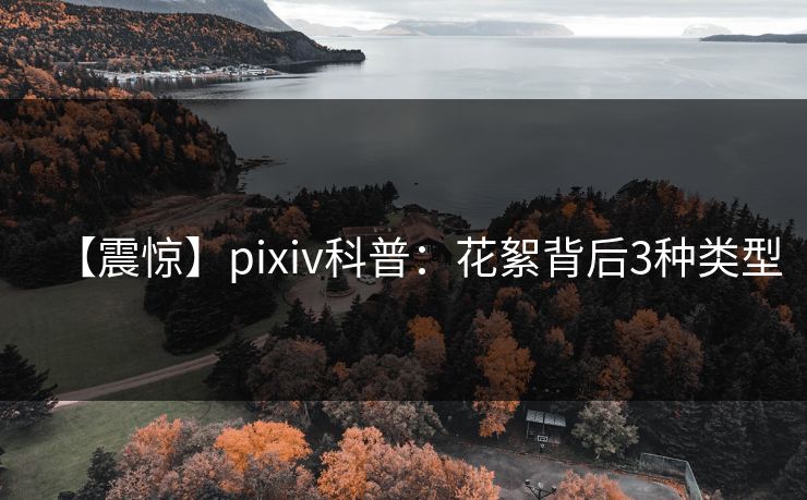 【震惊】pixiv科普：花絮背后3种类型